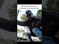 Ek baar dhoka kha Chuka Hu trending meme | #funny #meme #funny #memepage #memesvideo #memesdaily