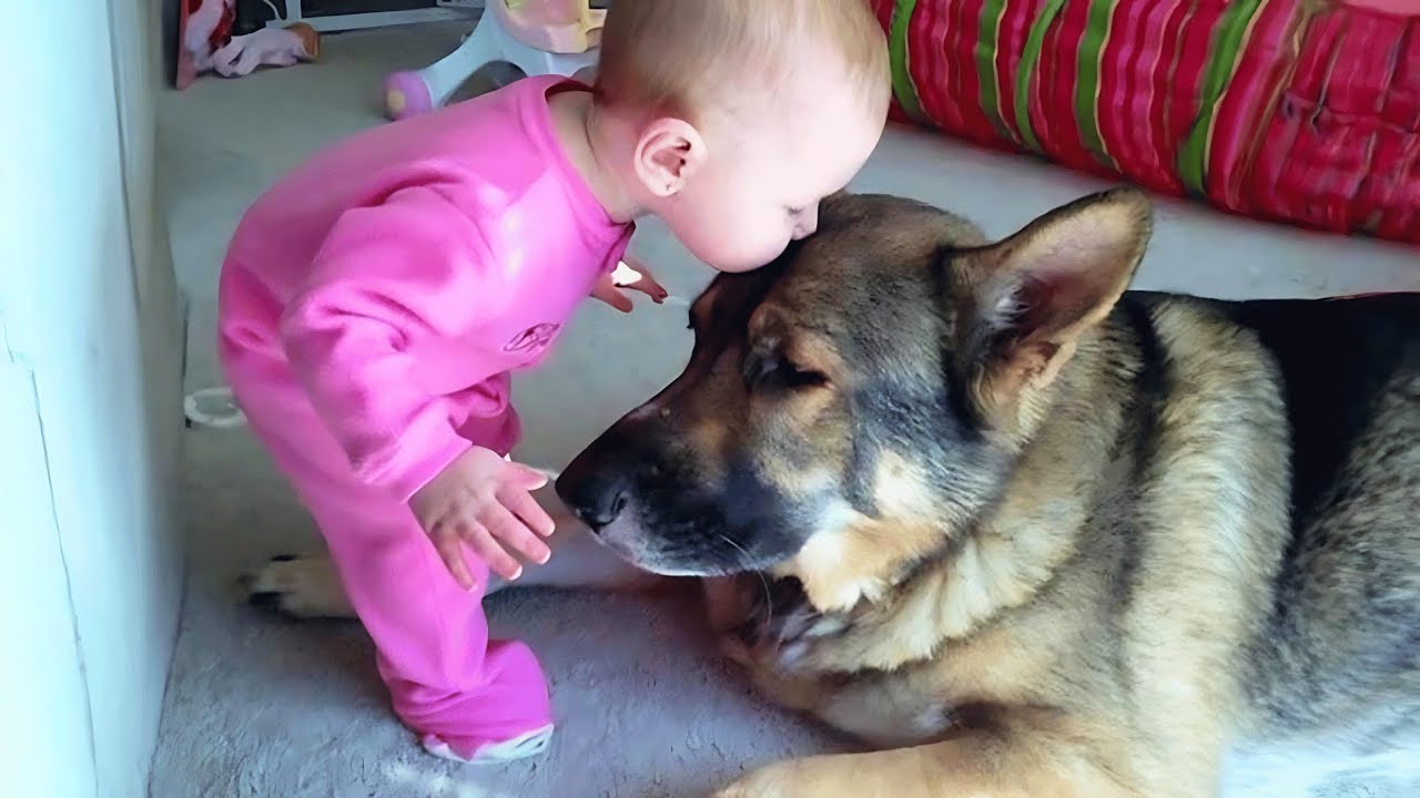 Cute and Funny Baby & Dog😂 | Babies and Dogs Being Adorable Best Friends😍