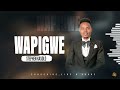 Stephen Kasolo - WAPIGWE (Official Lyric Video )