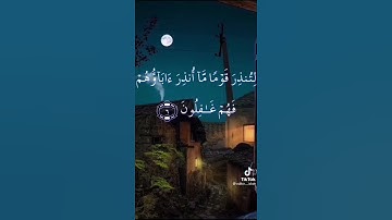 سورة يس ....