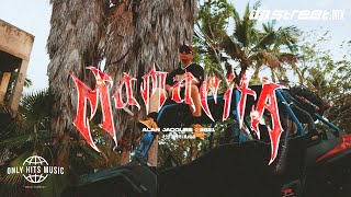 Watch Alan Jacques Mamacita video
