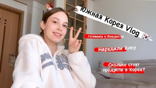 Корея VLOG: собираем елку, путешествие за кебабом, корейский супермаркет, цены