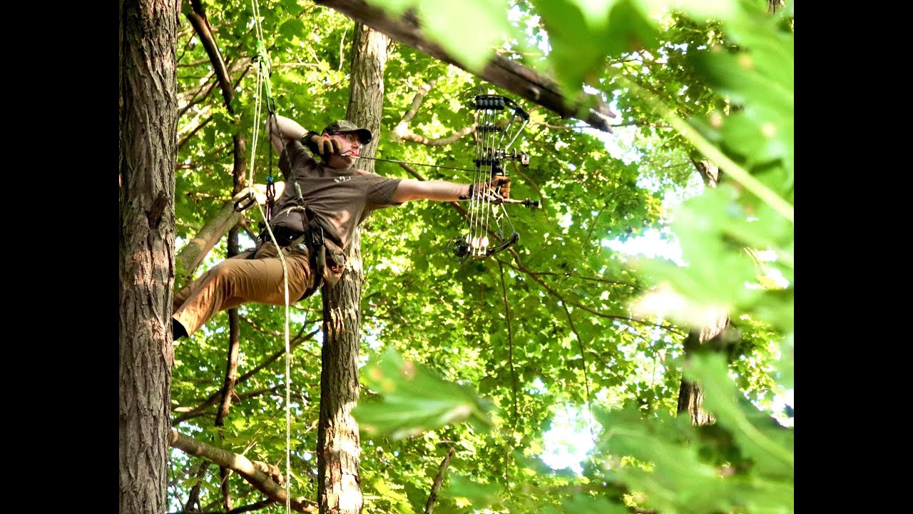 When To Hunt Deer On Full Moon When To Hunt Deer On Full Moon