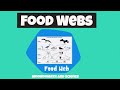 Energy Flow in Ecosystems Through Food Webs
