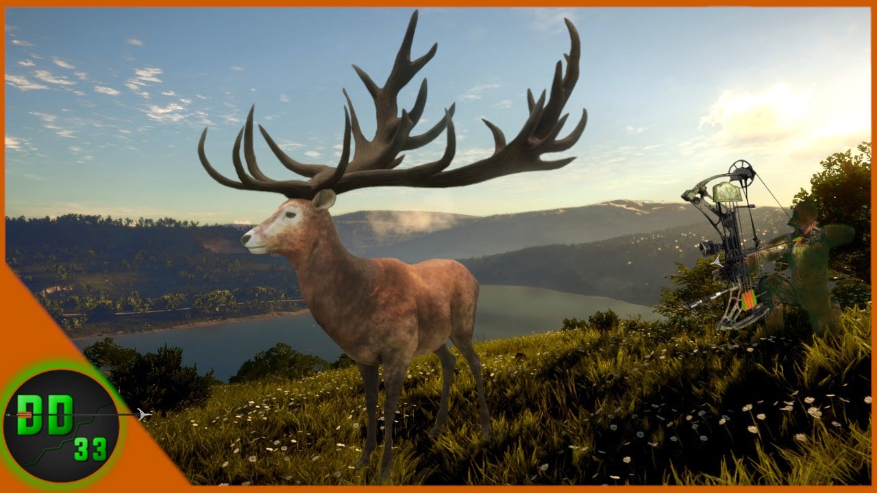 Prime højttaler afspejle The Biggest TruRACS Red Deer I've Ever Seen!! Call Of The Wild - YouTube