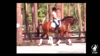 Improving the Medium Trot with George Williams
