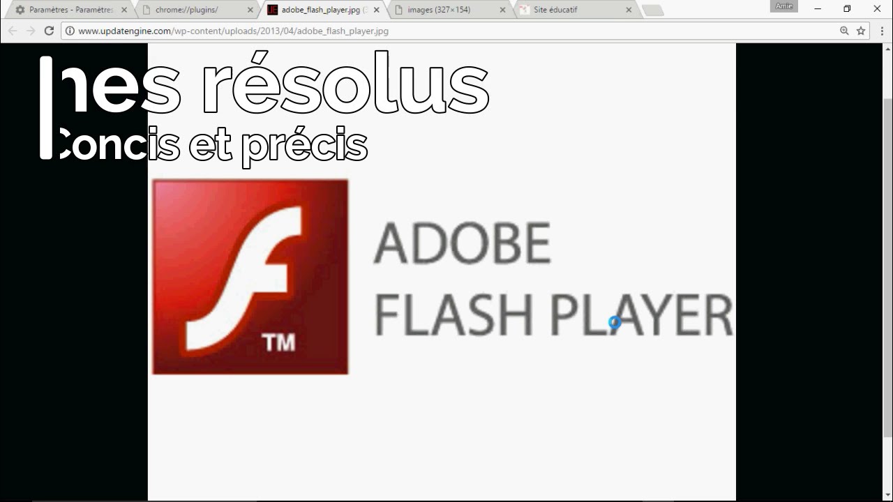 web browser with flash player 2021