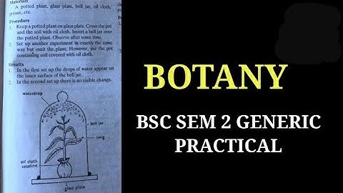 BSC SEM 2 BOTANY GENERIC PRACTICAL #botanypractical #vbu #bbmku