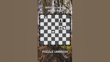 Chess puzzle series 🧩1599/5334 #chess #puzzle #learnchesstactics #magnuscarlsen #polgar #chessbooks