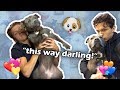 Tom Holland and his dog Tessa Compilation