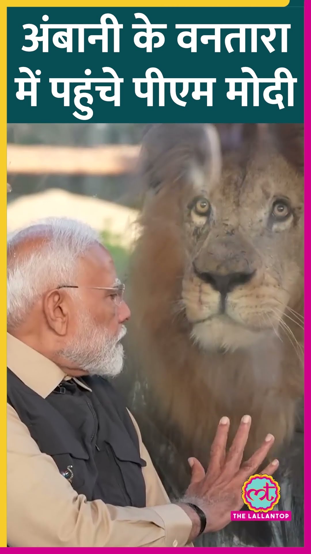 PM Modi Gujarat Visit में Anant Ambani के Vantara पहुंचे, शेर के शावकों के साथ खेलते दिखे। #pmmodi