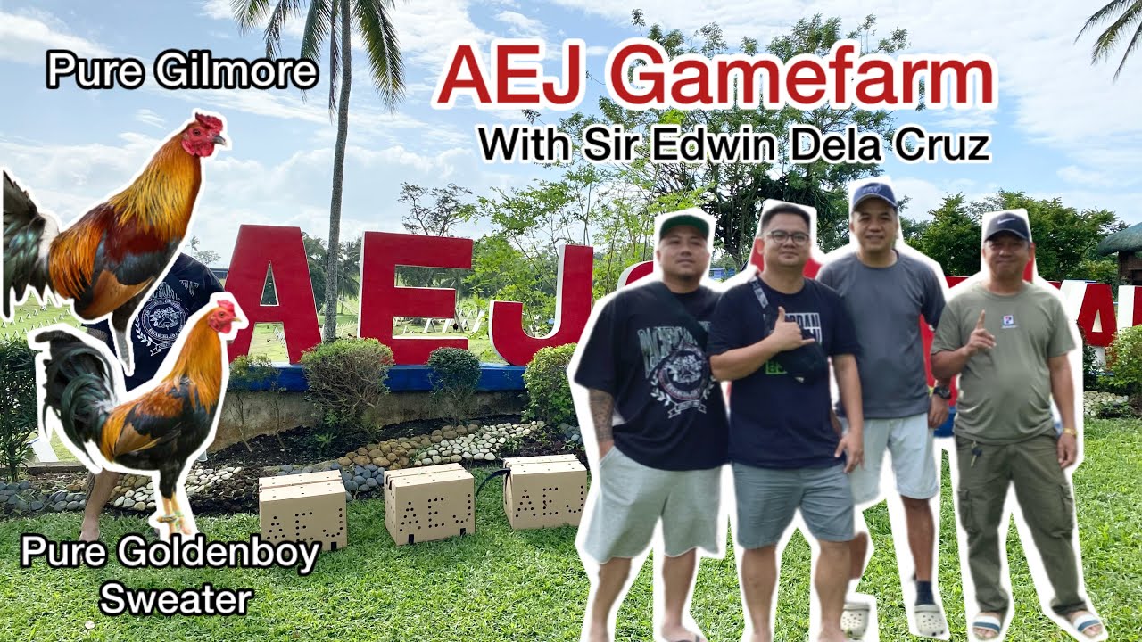 AEJ GAMEFARM 📍Brgy. Suplang, Tanauan, Batangas