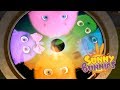 Videos For Kids | SUNNY SPACE | SUNNY BUNNIES | Funny Videos For Kids