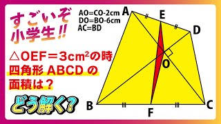 細野 平面図形と立体の図形問題完全攻略ビデオ　2本 細野 平面図形と立体の図形問題完全攻略ビデオ 2本 細野 平面