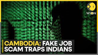 India rescues 250 citizens from 'Cyber Fraud Schemes' in Cambodia | World News | WION