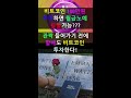 도지코인 킬러 시바이누 투자해서 1조원 버는 법!  월급노예탈출! | 하박사