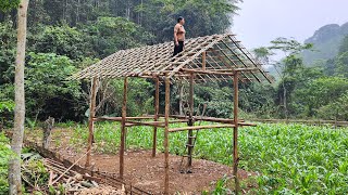 Completing the Roof Frame - Woman Alone Builds a Wooden House in the Forest - Log Cabin build by Pham Tâm 4,926 views 3 weeks ago 47 minutes