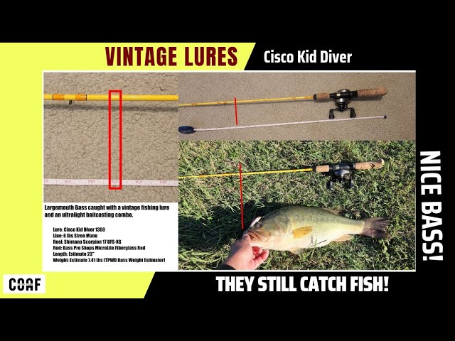 $2 Vintage Lure Catches a Big Bass! #fishing #bass #vintage 