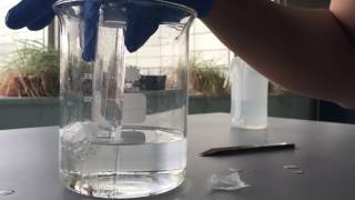 Magnesium and Hydrochloric Acid Lab
