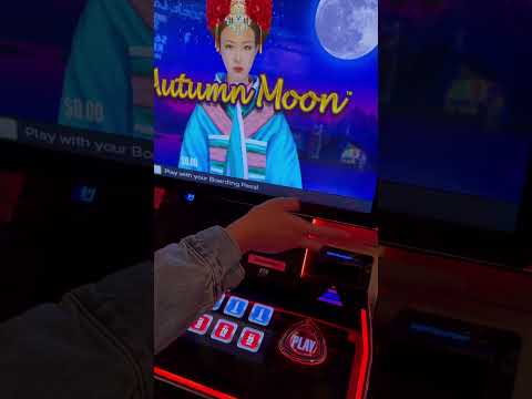 Harán noche de casino los rotarios