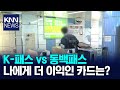 동백패스 vs K-패스: 부산 교통카드 선택 가이드 🚆