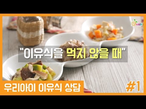 푸드케어이유식 추천