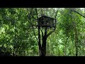 Full 30 days solo bushcraft build a treetop shelter survive in the wild