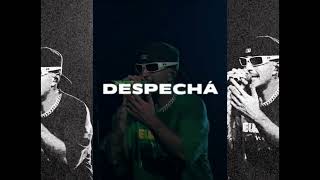 DESPECHÁ | FEID x CRIS MJ | Instrumental Reggaeton 2024