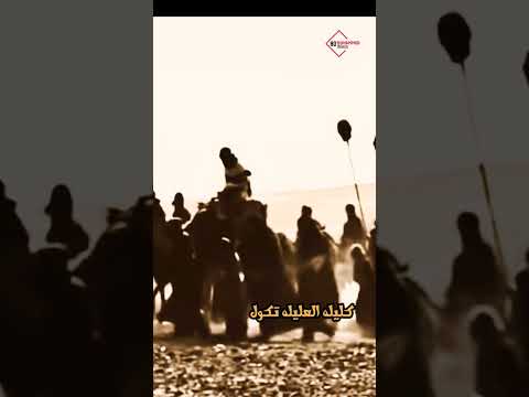 يا نوك وين تردين حالات واتساب فاقد الموسوي باسم الكربلائي فاقد الموسوي عمار الكناني