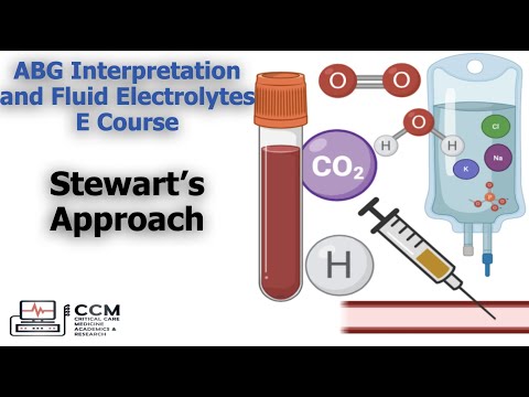 ABG Interpretation and Fluid Electrolytes E Course: Stewart Approach