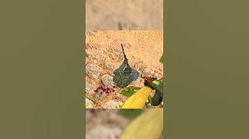 ПОЧЕМУ ОН НЕ МОЖЕТ ВСТАТЬ? | ХУЛИГАНИМ В CS 1.6 | BAD MANNERS IN CS 1.6 #shorts