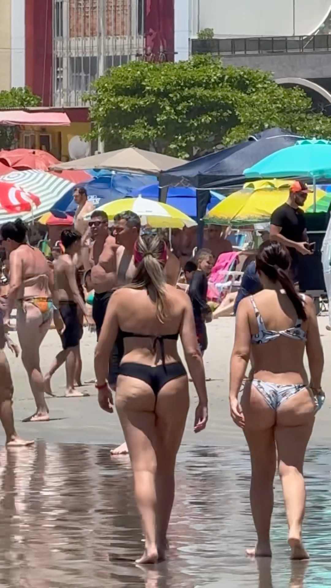 ?? Balneario Camboriu Beach