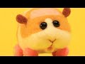 【PUI PUIモルカー】大好きすぎてみんなと共有したい！モルカー初心者でもわかるよう紹介！ I want to teach Guinea pig #shorts