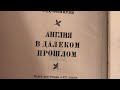 Грачёв Вадим Сергеевич. Обзор моей домашней библиотеки. Часть 61. Филиал 1.