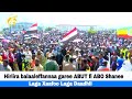 Hiriira Balaaleffannaa Garee ABUT Fi ABO Shanee Laga Xaafoo Laga Daadhii Hiriira Balaaleffannaa Garee ABUT Fi ABO Shanee Laga Xaafoo Laga Daadhii