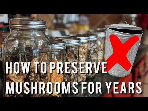 Video: Mushrooms: We Prepare For Future Use