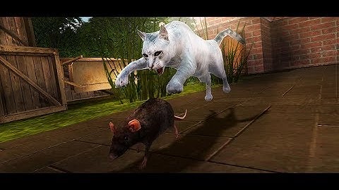 Home Cat Survival Simulator 3D Gameplay Video Android/iOS