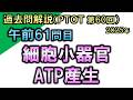 【過去問解説：第60回国家試験-午前61問目】細胞小器官・ATP産生【理学療法士・作業療法士】