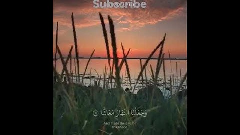 سورة النبأ || عبد الرحمن مسعد