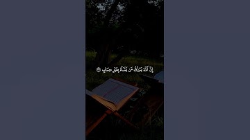 تلاوة خاشعة بصوت الشيخ ماهر المعيقلي