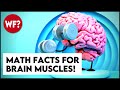 15 Mind Blowing Math Facts | Insane but True