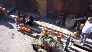 Pumpkin patch train 10-15-22