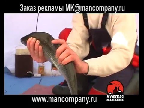 челябинская область рыбалка на сига