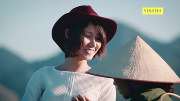 Trải nghiệm sản xuất chè tại Vinatea Mộc Châu