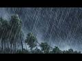 Heavy Rain and Strong Wind Sounds at Night 🌧️💨 | Deep Sleep, Relax, Stress Relief ASMR for SLEEP