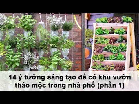 Video: Thiết Kế Vườn Thảo Mộc - Cách Tạo Một Vườn Thảo Mộc