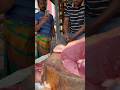 Meat cutting processing scale.
