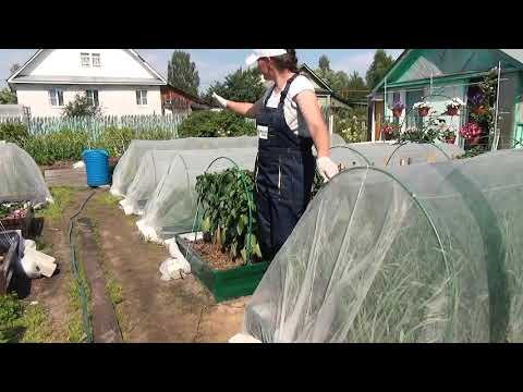 Обзор металлических грядок и клумб