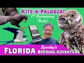 Kites galore and 17 Burrowing Owls! Birding &amp; Bird Photography Inland Florida Part 2