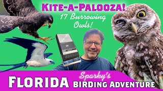 Florida BIRDING & Bird Photography—Atlantic Coast; Kites galore and 17 Burrowing Owls!  Part 2